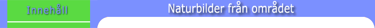 Naturbilder