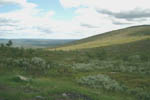 Vuontiskero